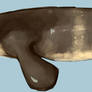 Mosasaur