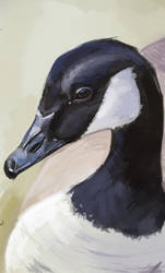 Canadian Goose Speedpaint.