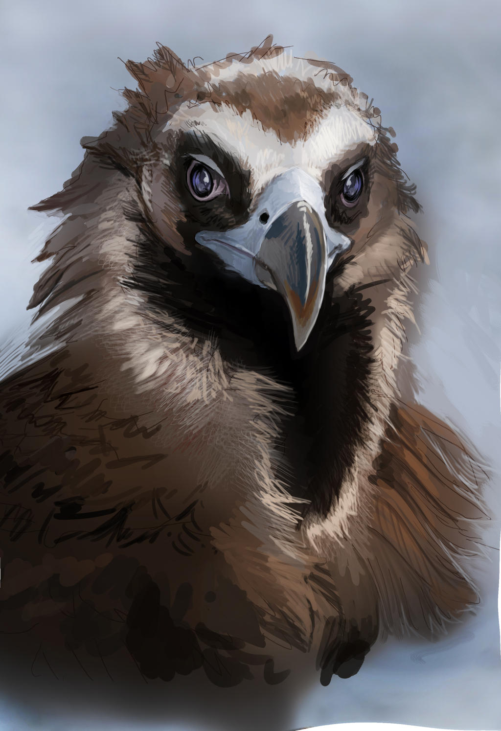 Black Vulture Speedpaint