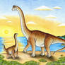 Brachiosaurus altithorax