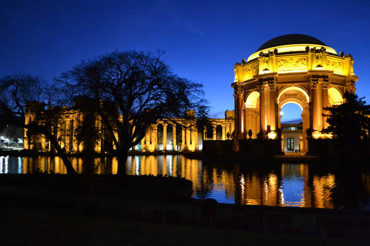 Palace of Fine Arts in the Moonlight