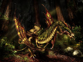 forest dragon1