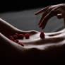 Eat berries)