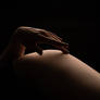 DSC 0800-Edit