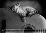 Cat 3 by tajus