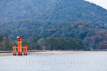 Miyajima Shore