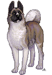 .pixel. Akita