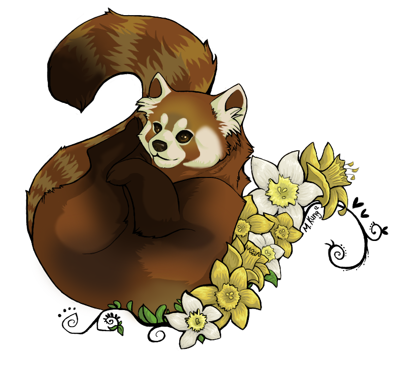 Red Panda