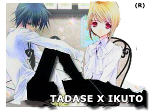 Tadase x Ikuto