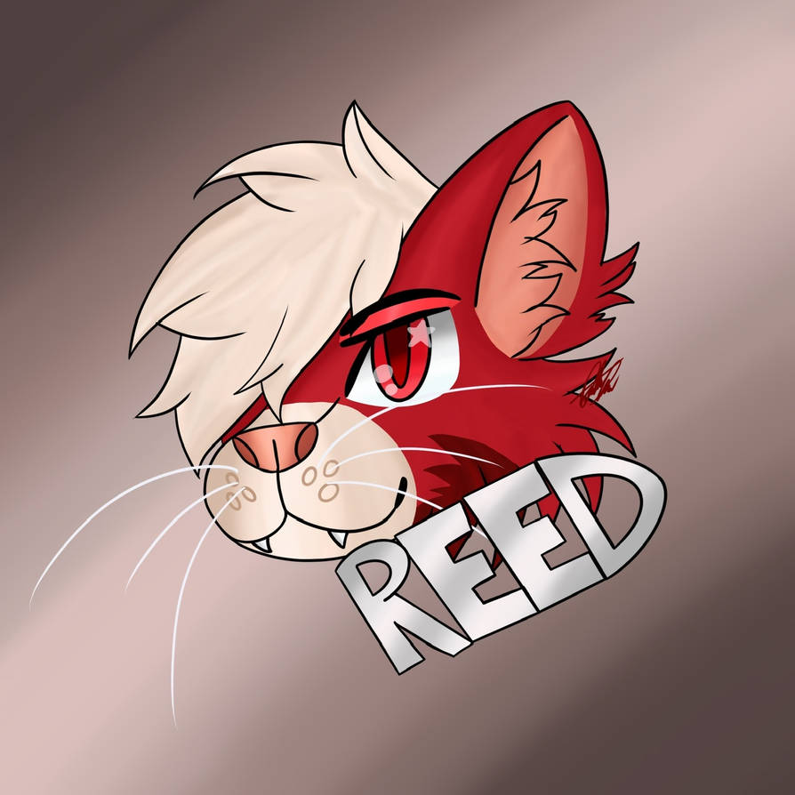 Cat Reed Model Reed the Cat for @ReedCatto on telegram! by Onehorniboy on DeviantArt