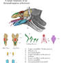 Rattler Cranial Anatomy