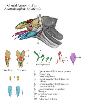 explore the best rattlers art deviantart
