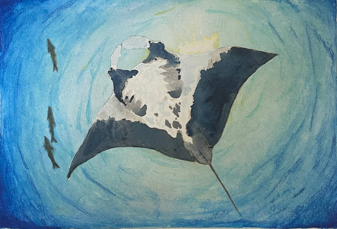 Giant Devil Ray by wilderstillart on DeviantArt