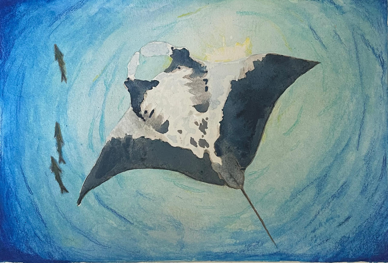 Giant Devil Ray by wilderstillart on DeviantArt