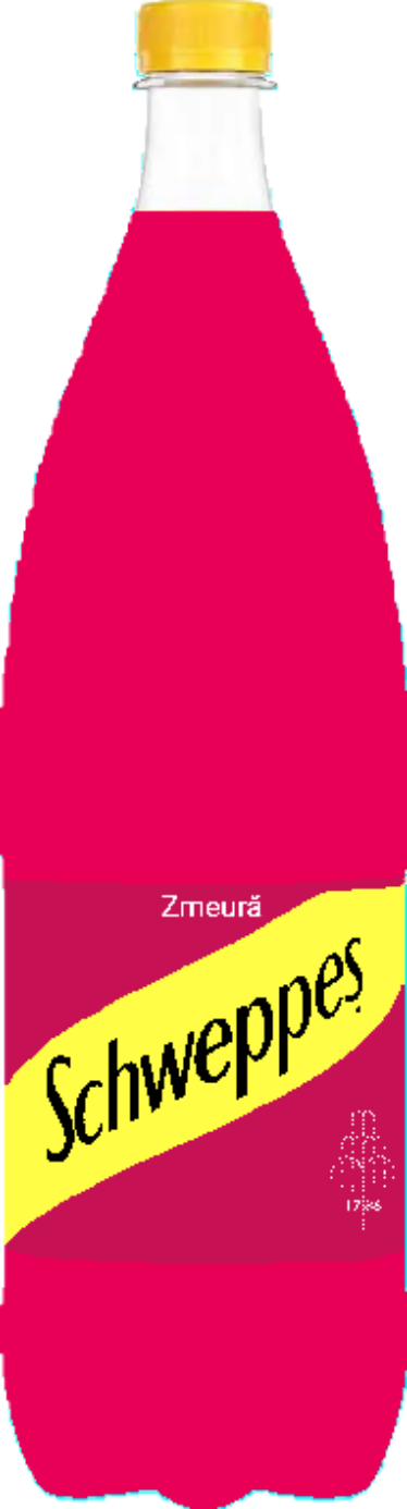 Schweppes Raspberry 1.5L from Romania by CatalinVizireanu on DeviantArt