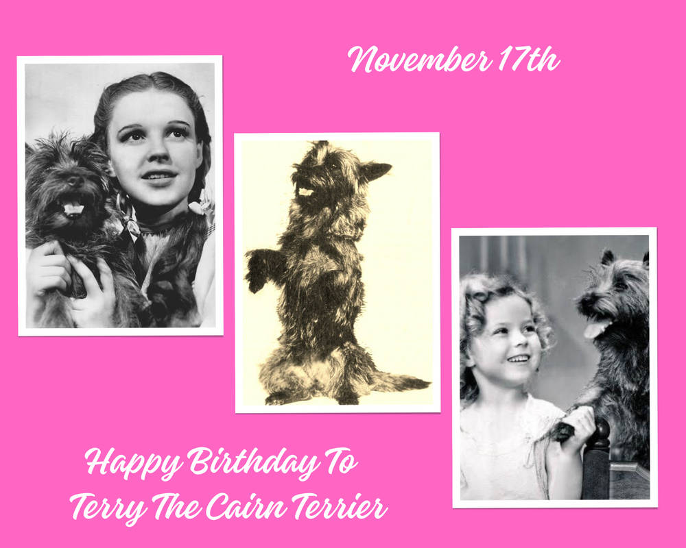 Terry Birthday Tribute by MSKM2001 on DeviantArt