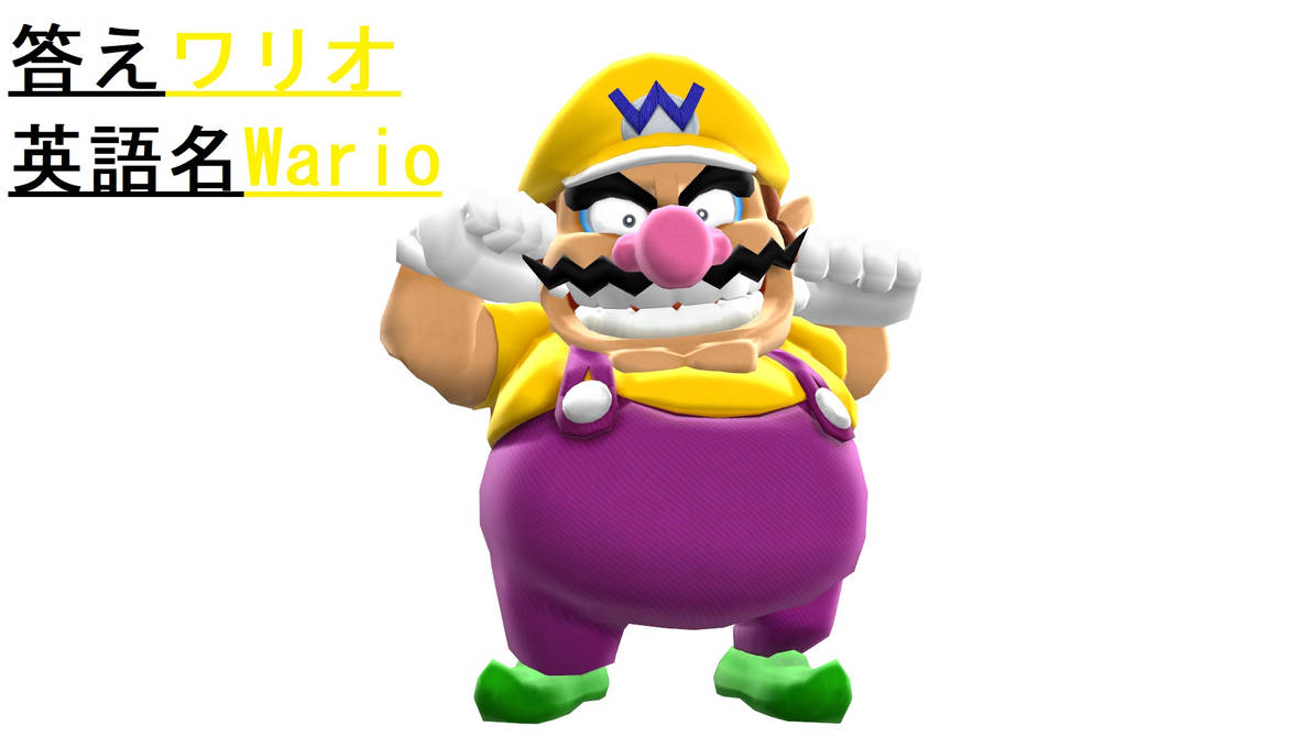 MMD Quiz Answers 3 by 101P on DeviantArt