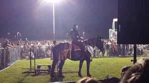 Renaissance Faire 2015 - Ready to Joust?