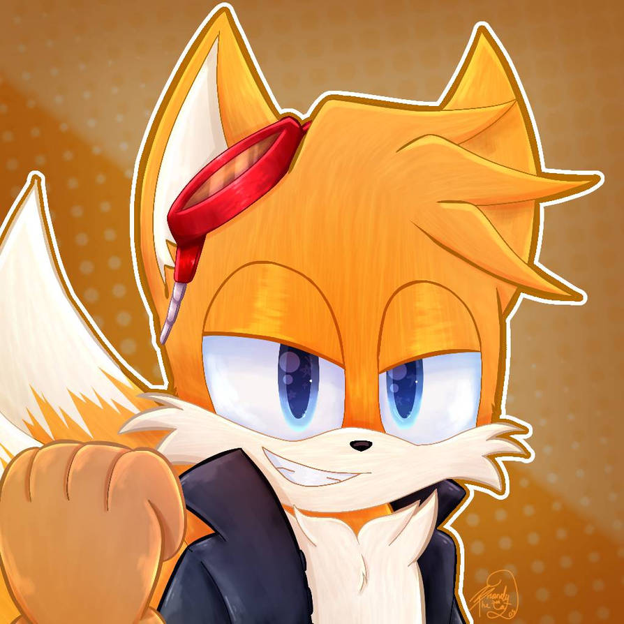 Namesake Tails Tails by Brandythecat05 on DeviantArt