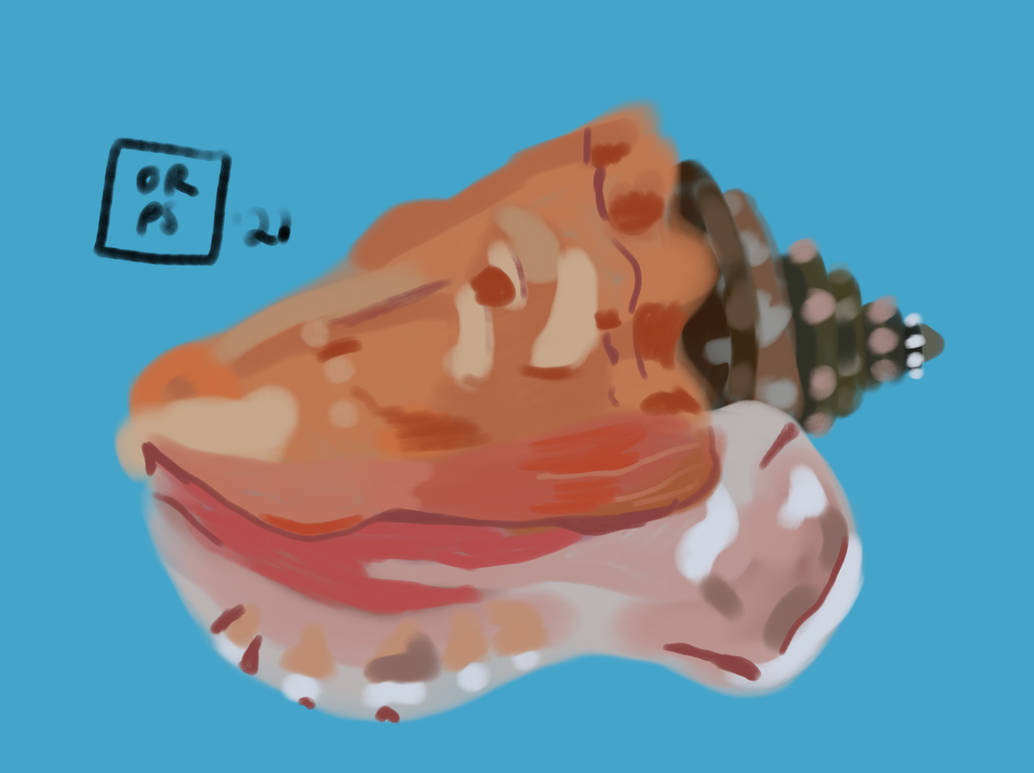 Minecraft Conch Shell Build Conch shell by oliverraysolomon on DeviantArt
