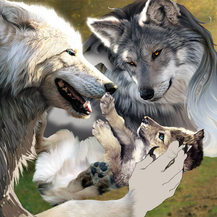 Мамы про волков. Волк, волчица,семья Волков. Волк волчица и Волчонок. Волк и волчица семья.