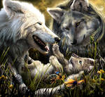 Werewolf Calender 2009 - July by Novawuff