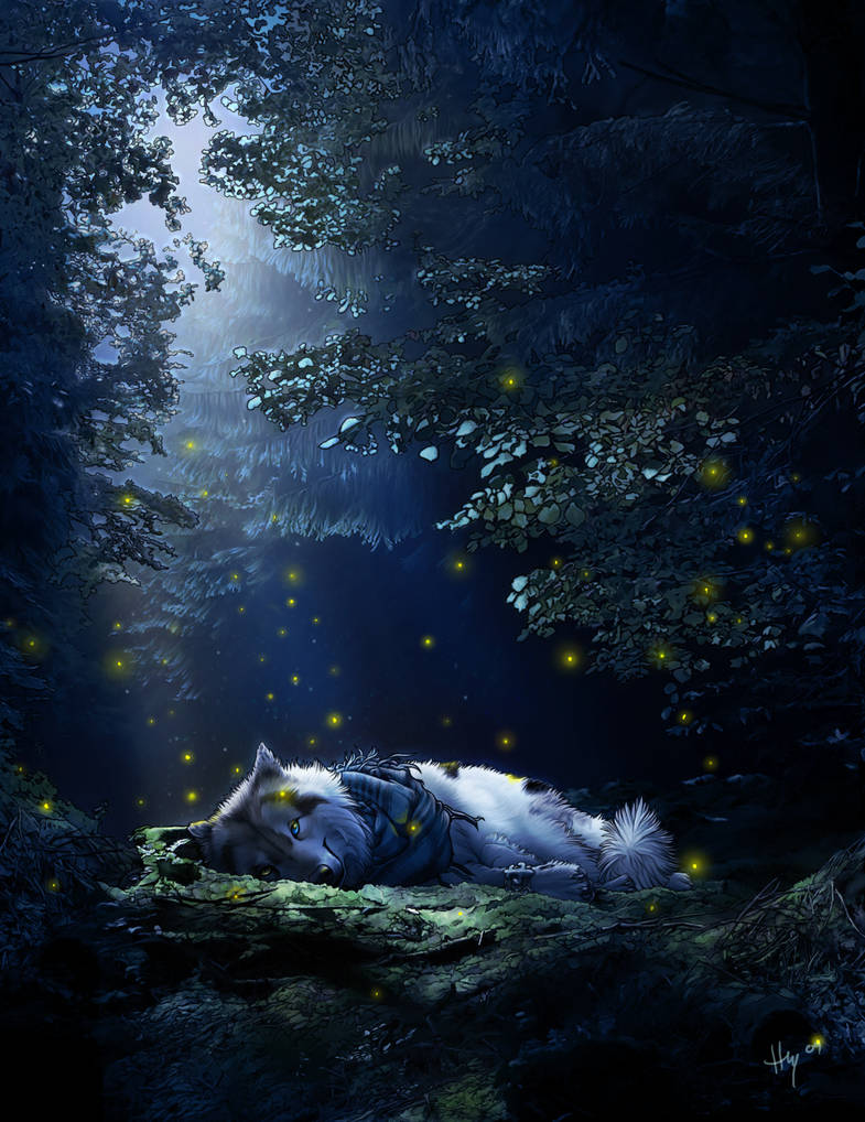 Fireflies by Novawuff on DeviantArt