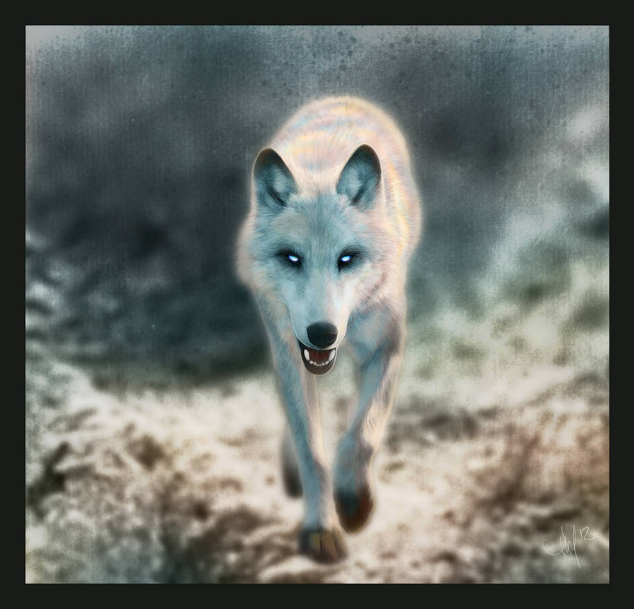 Shilo By Novawuff On DeviantArt