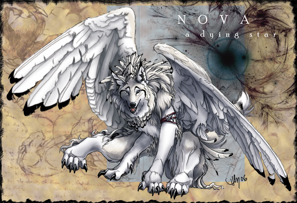 Winged Nova Character Sheet