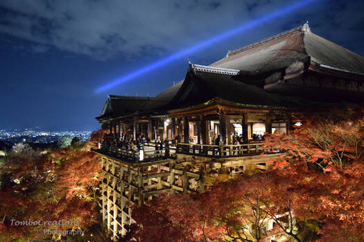 Kiyomizu-dera Lightup