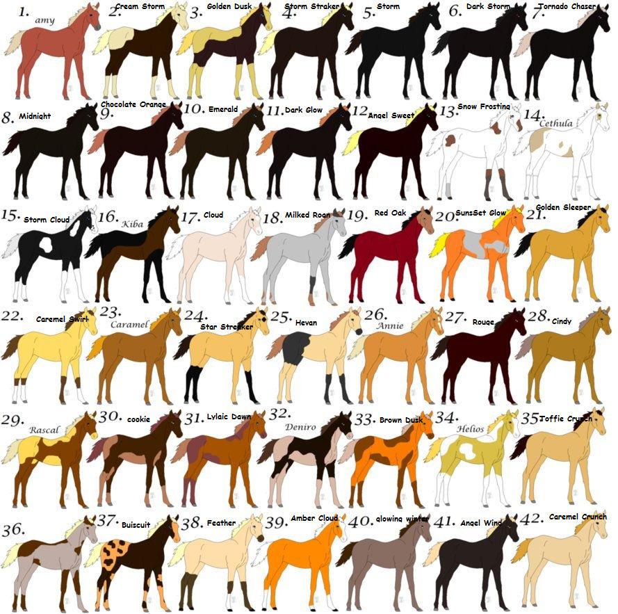 Horse Names by Starflight4842 on DeviantArt