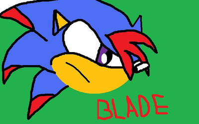 Blade The Hedgehog