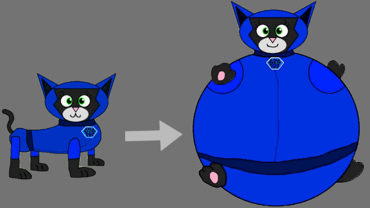 Cat Inflation Animation Veronica (Cat Pack) Inflation Transformation by Heno64490 on DeviantArt