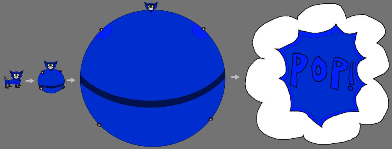 Cat Inflation Explosion Veronica (Cat Pack OC) Overinflation Explosion by Heno64490 on DeviantArt