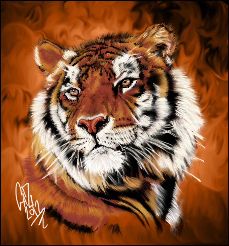 Tiger DP