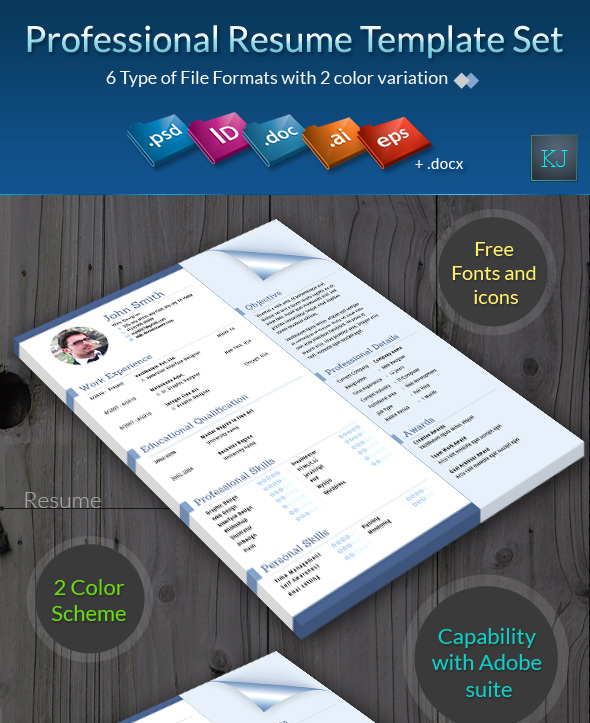 Professional Resume Template Set