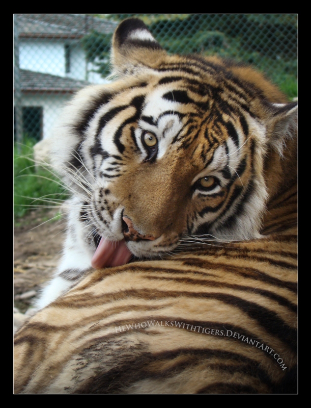Kumara Takes a Bath by HeWhoWalksWithTigers