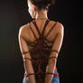 Shibari series: dragonfly tie