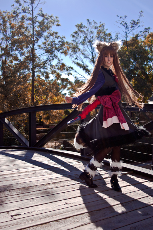 Horo I - Spice and Wolf