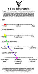 My Identity spectrum