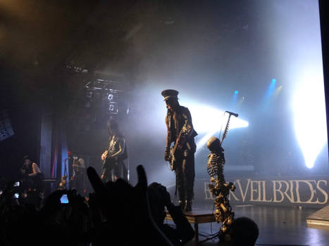 Black Veil Brides 1/25/13 9