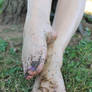 Beautiful goddess feet in the mud