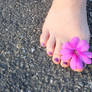 Rough gravel...delicate flower...delicate foot