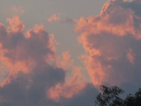 Pink Clouds