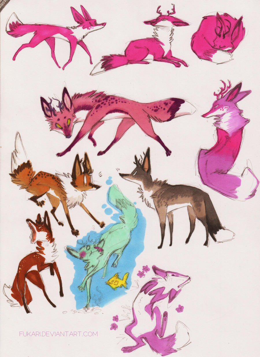 foxes