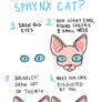 How to draw sphynx cat