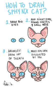 How to draw sphynx cat
