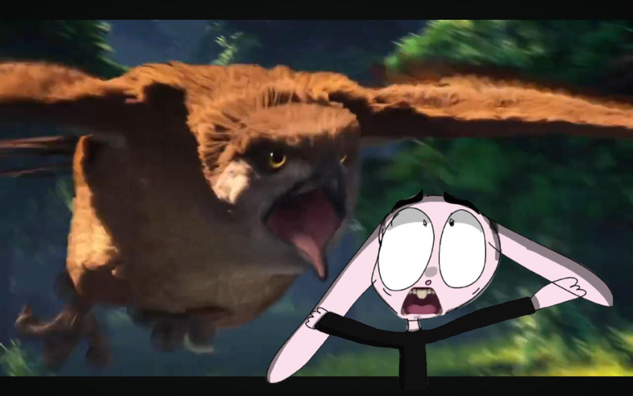 Victor Valley Rabbit Hawk (Tinkerbell) going attack Victor rabbit by Rosalieplamondon on ...