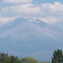 Mount Shasta