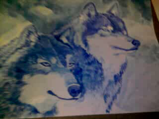 blue wolves